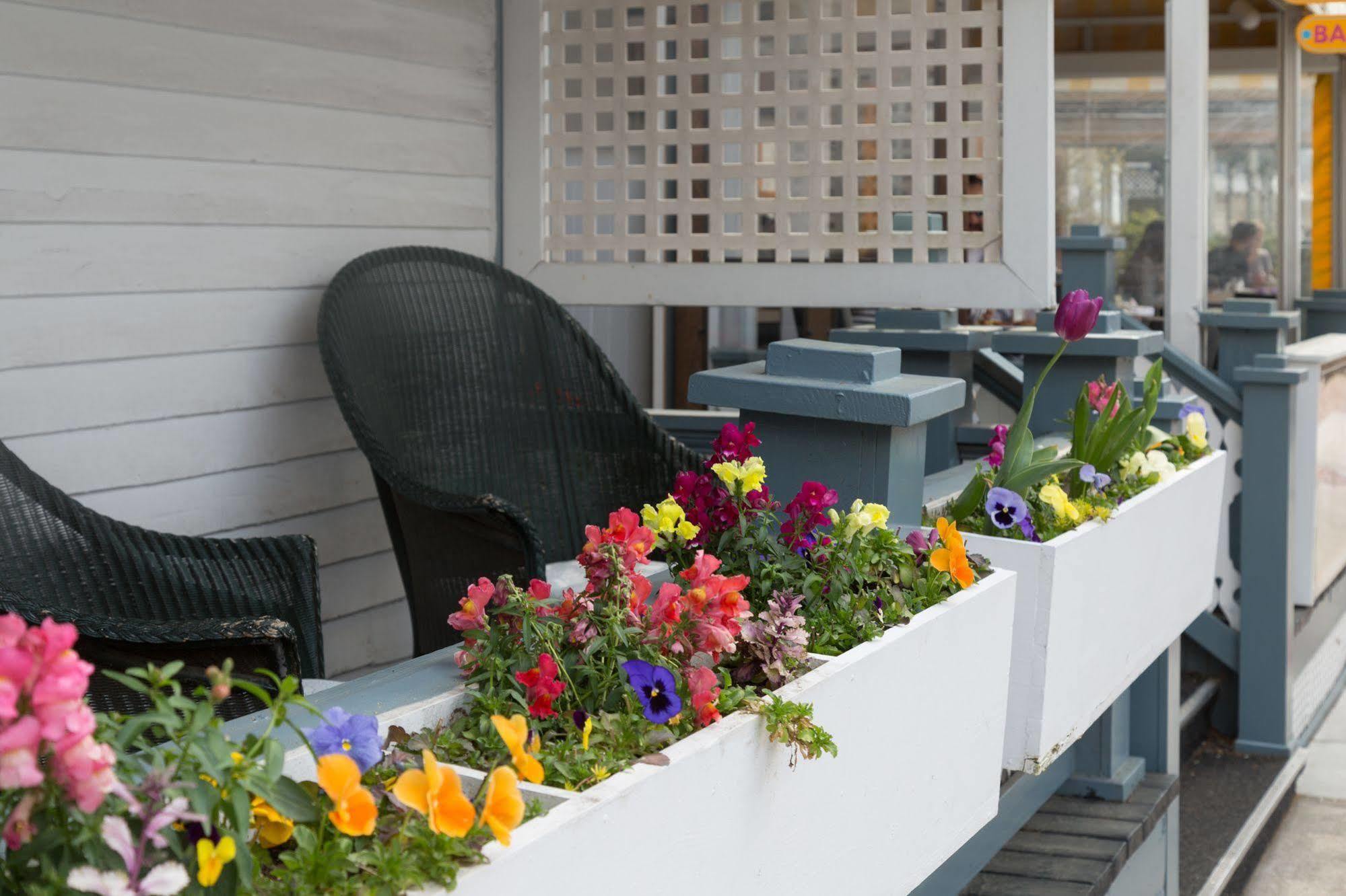 The Carroll Hotel Cape May